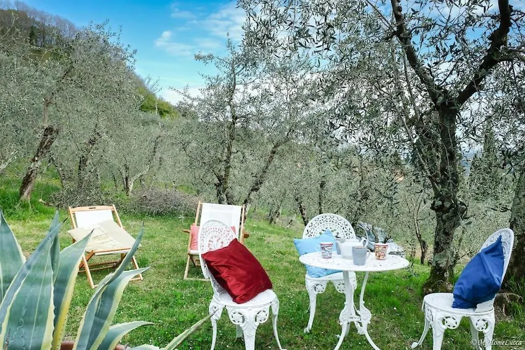 Villa Malula A Classy House In The Countryside Capannori