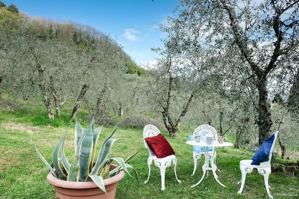 Holiday home Villa Malula A Classy House In The Countryside Capannori