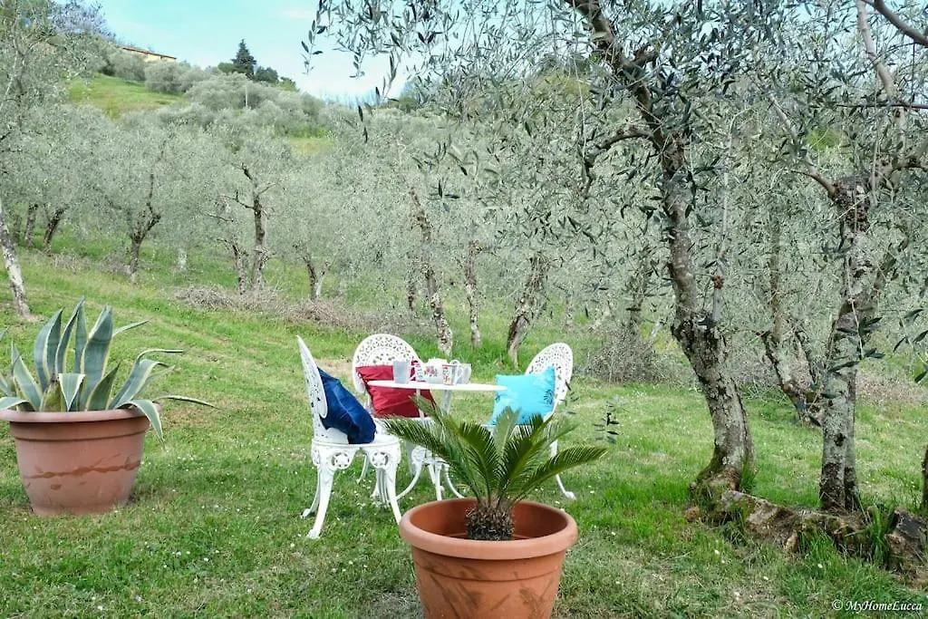 Villa Malula A Classy House In The Countryside Capannori